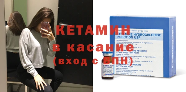 гашик Алексин