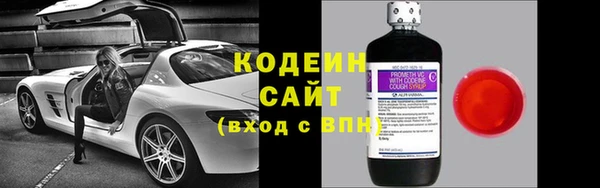 гашик Алексин
