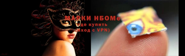 ECSTASY Алзамай