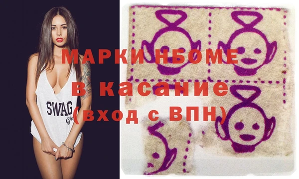 гашик Алексин